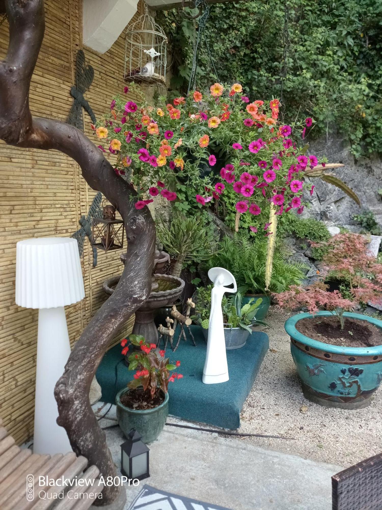 Olliergues Studio Malou, Cuisine, Salle D'Eau, Terrasse Amenagee מראה חיצוני תמונה